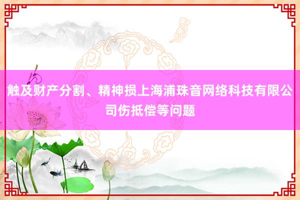 触及财产分割、精神损上海浦珠音网络科技有限公司伤抵偿等问题